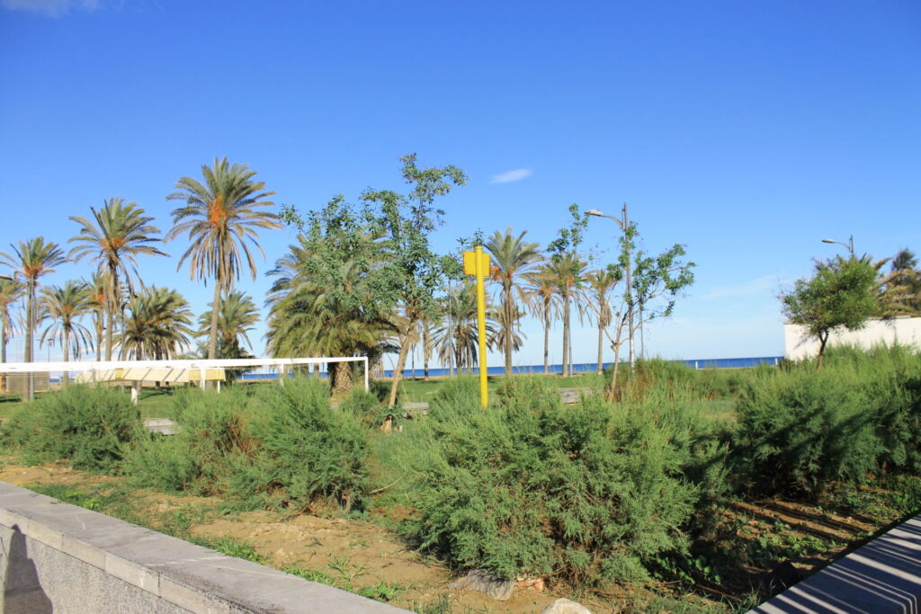 restaurants valencia